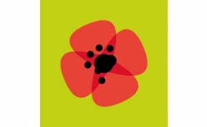 Autárquicas: Candidata do Livre a Faro quer aumentar parque público de habitação para 10% 