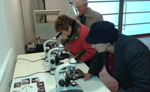 «Astros que (também) são Seniores» são tema de Ciclo «Ciência não tem idade»