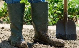 IEFP assina acordos com CAP e Direção Regional de Agricultura do Algarve