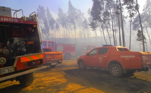 Cerca de 250 Bombeiros impediram incêndio de entrar no Algarve
