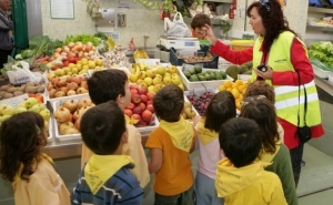 COLABORAÇÃO NOS TEMPOS LIVRES DOS ALUNOS DO 1º CICLO DO ENSINO BÁSICO