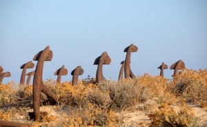 Passeio ao património pesqueiro