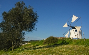 Dia Nacional dos Moinhos | ODEMIRA CONVIDA A VISITAR MOINHOS MUNICIPAIS EM ODEMIRA E LONGUEIRA