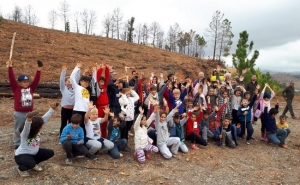 Portimão adere ao movimento «Plantar Portugal» e planta de mais de uma centena árvores 