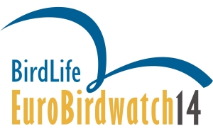Milhares de europeus de olho nas aves no EuroBirdwatch 2014