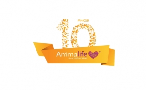 Leilão solidário apoia animais em risco 