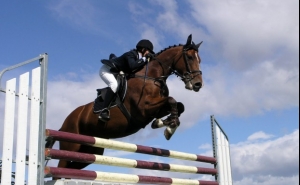 CSIO3* de Portugal recebe em Vilamoura alguns «dos melhores cavaleiros do mundo»