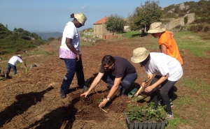Monchique planta 1000 Carvalhos para incentivar a conservação das florestas naturais no concelho.