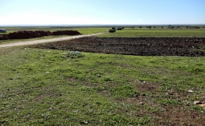 Geminação do Município de Lagos com Município de Ksar El Kebir 