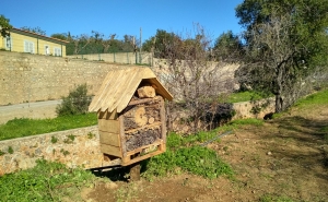 LOULÉ FOMENTA BIODIVERSIDADE EM MEIO URBANO COM INSTALAÇÃO DE ABRIGOS PARA AVES, INSETOS E MORCEGOS