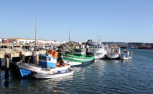 Município congratula-se com investimento da DOCAPESCA, mas alerta para necessidades maiores no Porto de Pesca