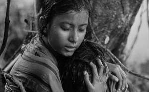 FADO, HISTÓRIA, GUITARRA E PATRIMÓNIO NO «365 ALGARVE»