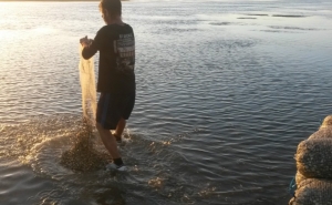 Polícia Marítima fiscaliza Ria Formosa e apreende mais de 1 tonelada de berbigão