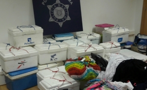 Ação de fiscalização à venda ambulante ilegal