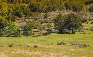 Lei dos solos alterada para se construir casas em terrenos rústicos