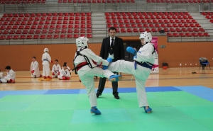 36º Torneio de Artes Marciais «Karate Clube de Loulé»