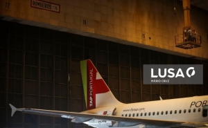 TAP não renova contrato a prazo com 100 trabalhadores