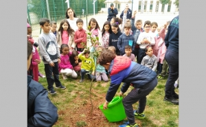 EDUCAÇÃO AMBIENTAL É APOSTA DA AUTARQUIA DE LOULÉ PARA CELEBRAR DIA INTERNACIONAL DAS FLORESTAS 2019