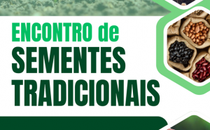 «Encontro de Sementes Tradicionais», 16 NOV 2025 - Mercado de Levante