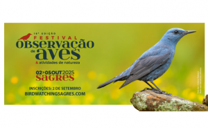 Festival de Observação de Aves e Atividades de Natureza começa amanhã em Sagres