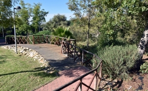 DIA MUNDIAL DO AMBIENTE COMEMORADO EM LOULÉ COM «CADOIÇO EM FESTA»