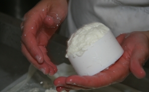 Fábrica do Queijo inaugura em Olhão 