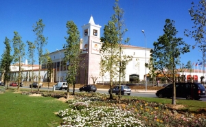 CÂMARA AVANÇA COM A REQUALIFICAÇÃO DA ENTRADA DA CIDADE