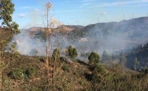 Município de Portimão mantém o dispositivo permanente de resposta aos incêndios rurais ao longo de todo o ano 