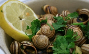 Querença | Festival do Caracol | 16 e 17 de maio