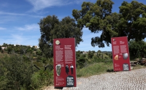 Exposição «Quem nos escreve da serra» traz a Parises um dos maiores tesouros da arqueologia europeia