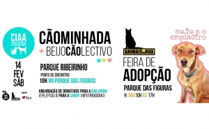 CÃOMINHADA E FEIRA DE ADOÇÃO 
