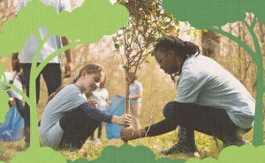 «Voluntariado Jovem para a Natureza e Florestas»