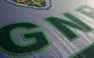 GNR identifica cidadãos em Albufeira e Loulé por furto