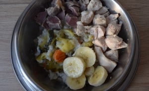 Pioneiras em nutrição canina dão conferência no Algarve