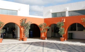 MERCADO DE PRODUTOS AGRÍCOLAS DE ALBUFEIRA COM MARCA «100% LOCAL»