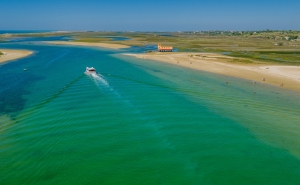 IMAGENS DA NATUREZA, CULTURA E VIDA NA RIA FORMOSA VALEM PRÉMIOS NO ALGARVE