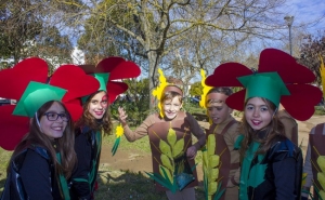 Carnaval das Escolas cheio de cor e alegria