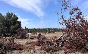 Dieta mediterrânica no topo, paisagem mediterrânica é para arrasar!