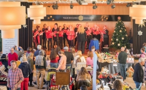 MERCADO DE NATAL EM VALE DO LOBO