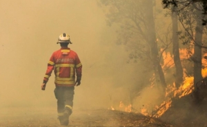 Incêndios: Fogo em Loulé dado como dominado - Proteção Civil