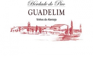 Vinhos Nacionais apresentam-se em Portimão  