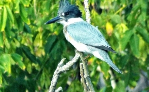 Portugal mostra-se na Alemanha para afirmar-se como destino de turismo de natureza