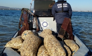 Polícia Marítima apreende 500 Kg de berbigão e artes de pesca ilegais na Ria Formosa