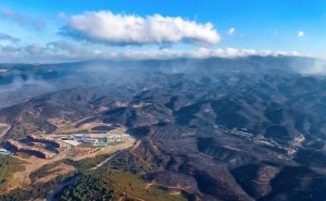 Em Portimão crianças e seniores dão as mãos plantando árvores em áreas ardidas