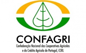 Agricultores Portugueses Reclamam em Bruxelas por medidas de apoio aos sectores do Leite e da Carne