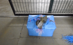 Marinha apreende 40 quilos de haxixe no mar do Algarve