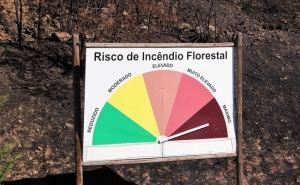 Comunidade educativa do Colégio Internacional de Vilamoura procede a entrega de bens da campanha Florescer Sorrisos  