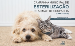 Município de Lagos promove nova campanha de esterilização de animais de companhia