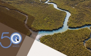 Reserva Natural do Sapal de Castro Marim e VRSA, a primeira do país, celebra 50 anos com atividades diversas e abertas à comunidade