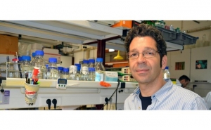 INVESTIGADOR DA UALG